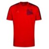 Bayern München T-Shirt Chinese New Year - Rød/Navy LIMITED EDITION