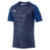 PUMA Cup Trænings T-Shirt Core - Blå